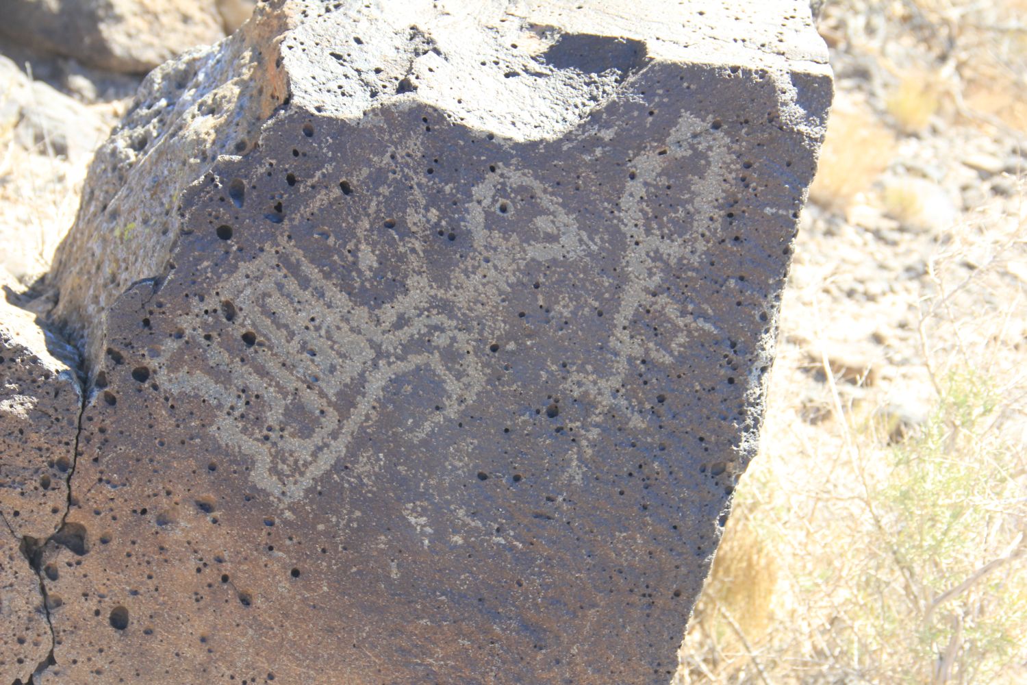 Petroglyph National Monument 